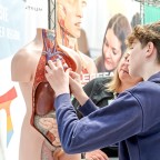 2025_05_17 Ausbildungsbörse_068 (Groß)